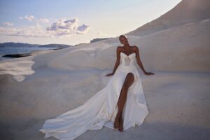 Eva lendel venus wedding dress delaney 3